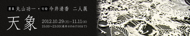 丸山功一＆今井清香 二人展 「天象」