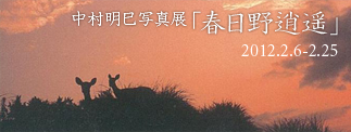春日野逍遥